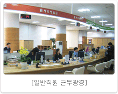 일반직원 근무광경